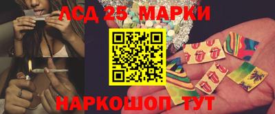 скорость Новозыбков