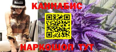 скорость Новозыбков