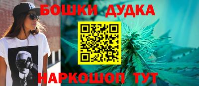 PSILOCYBIN Новокубанск