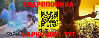 стафф Новодвинск