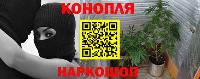 скорость Новозыбков